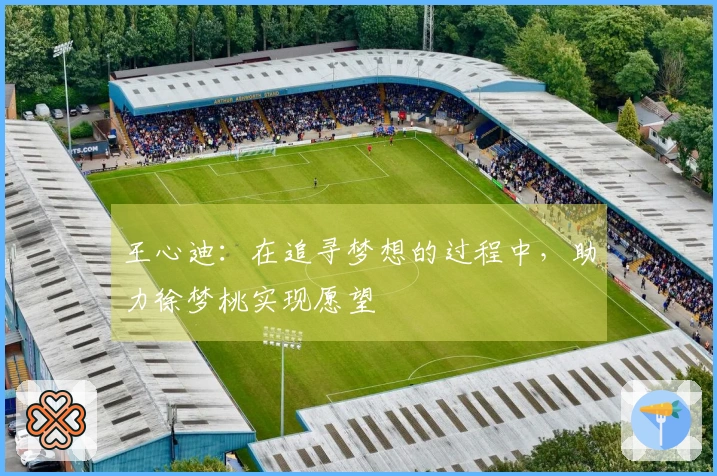 王心迪：在追寻梦想的过程中，助力徐梦桃实现愿望