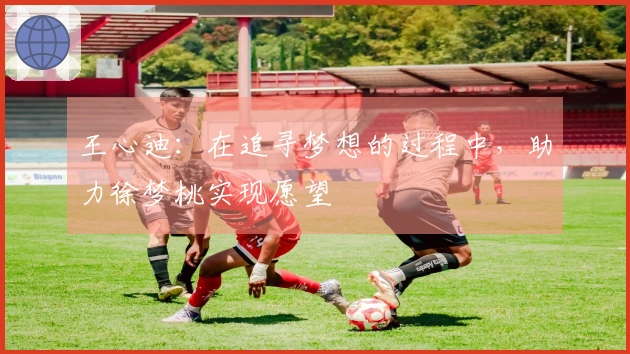 王心迪：在追寻梦想的过程中，助力徐梦桃实现愿望