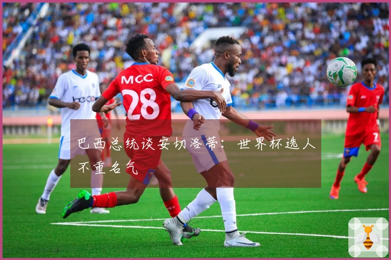 巴西总统谈安切洛蒂：世界杯选人不重名气